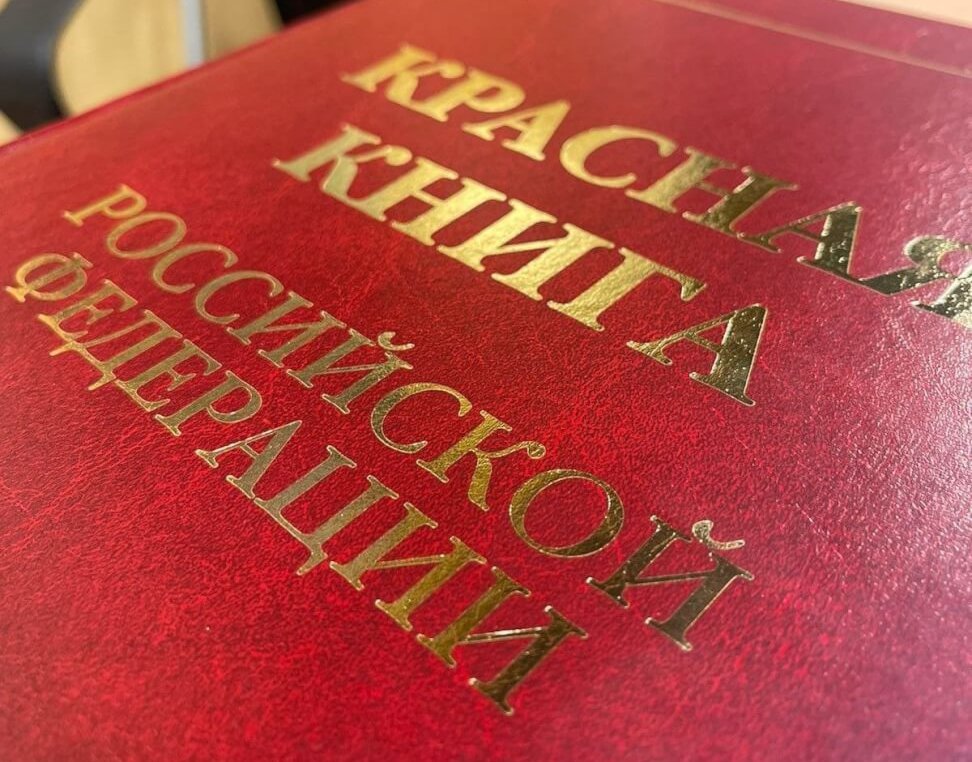В России создадут единую Красную книгу в электронном формате