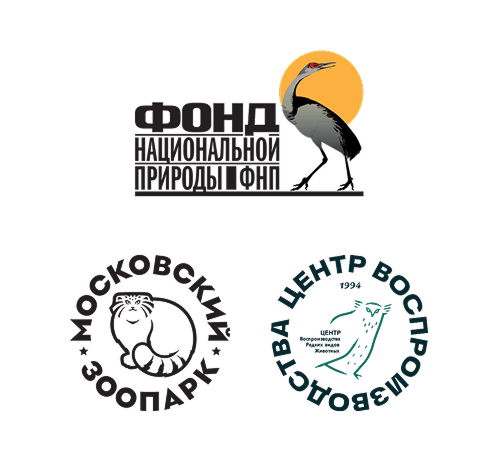 Проект АМЗ «Дуальное образование»