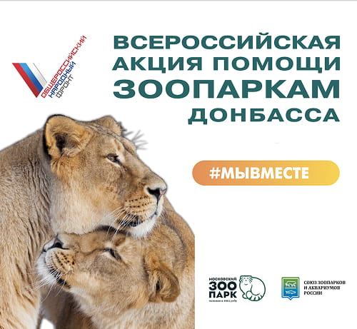 Акция #МЫВМЕСТЕ