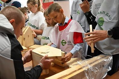 Новое жильё для птиц